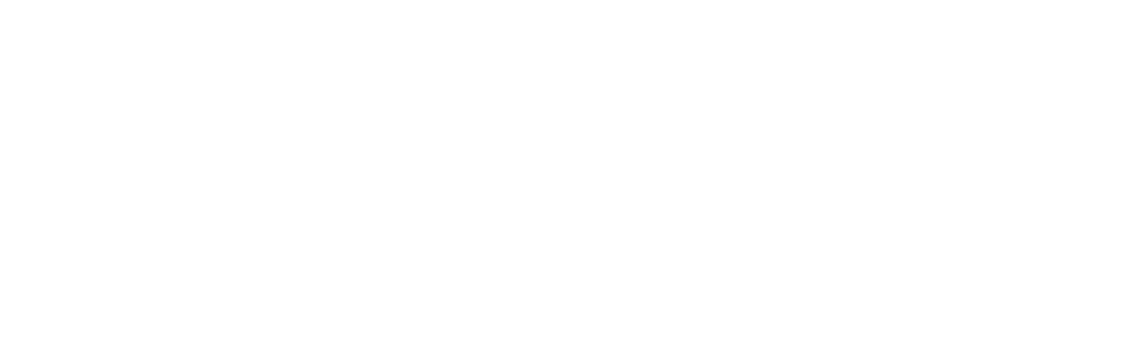 Erivia – You dream it. We plan it.